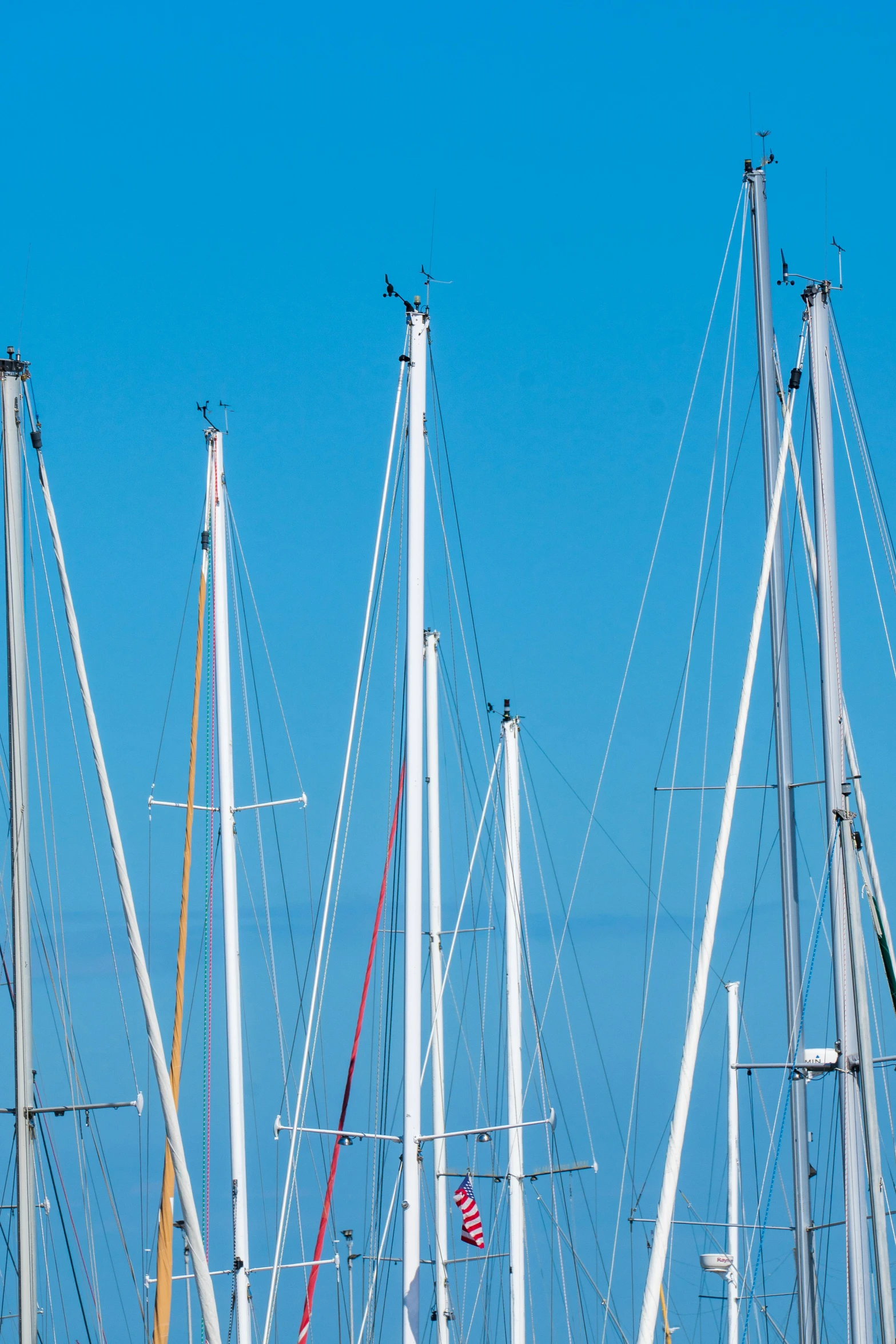 many different sailboats in the water at a marina