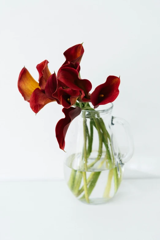 this is an arrangement of red flowers in a glass vase