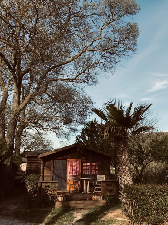 a small house sitting under a leafless tree