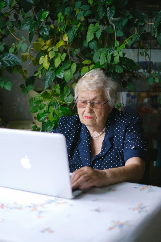 an elderly lady using a laptop while sitting at a table