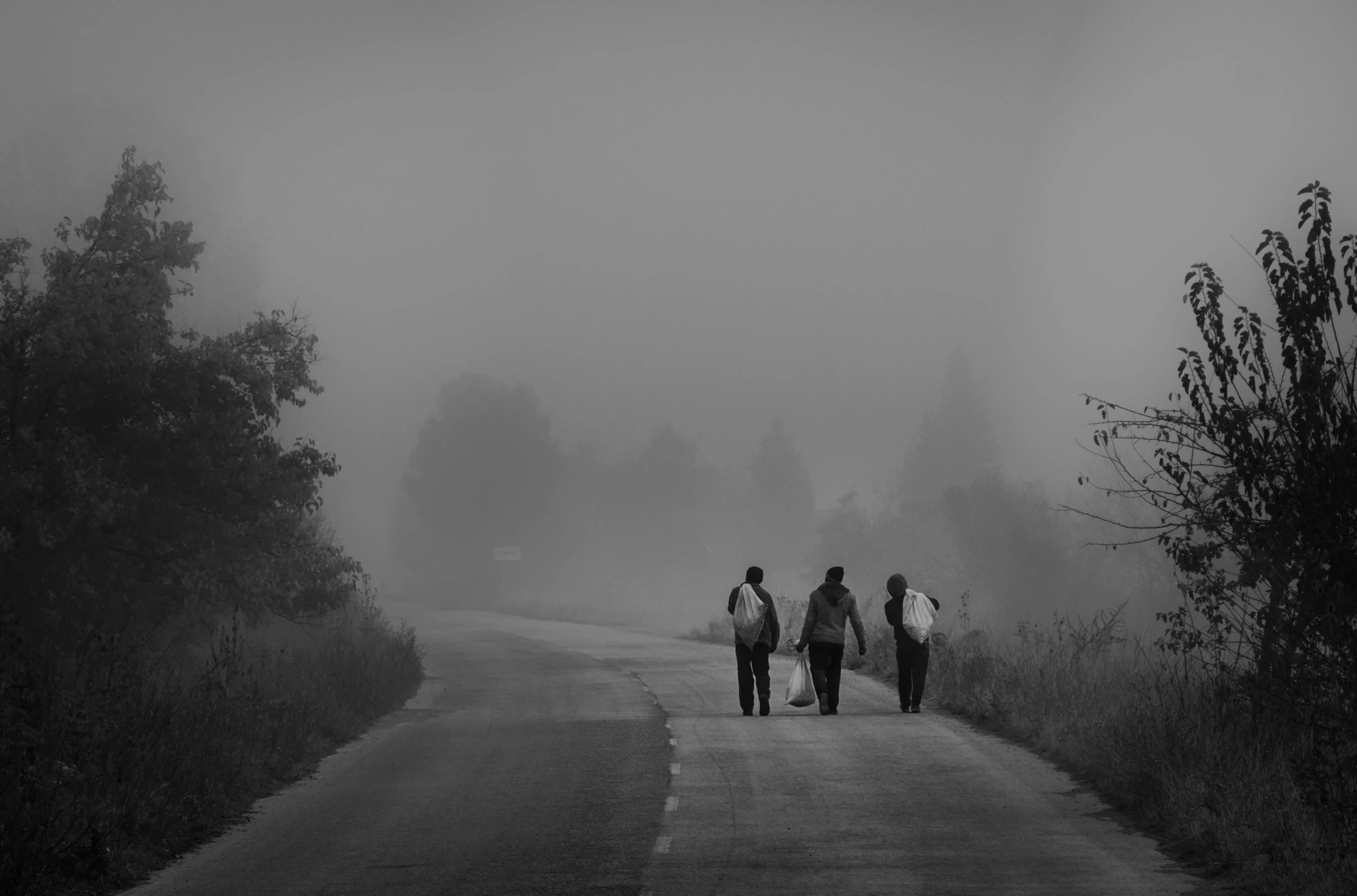 three people walking along a road in the fog