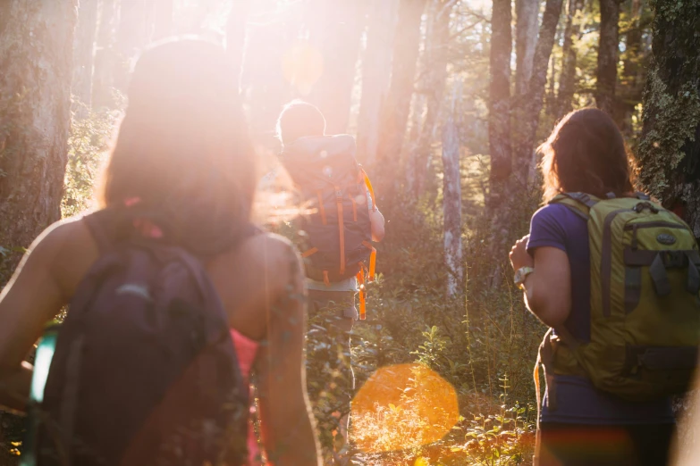 three women hiking through the forest in sun