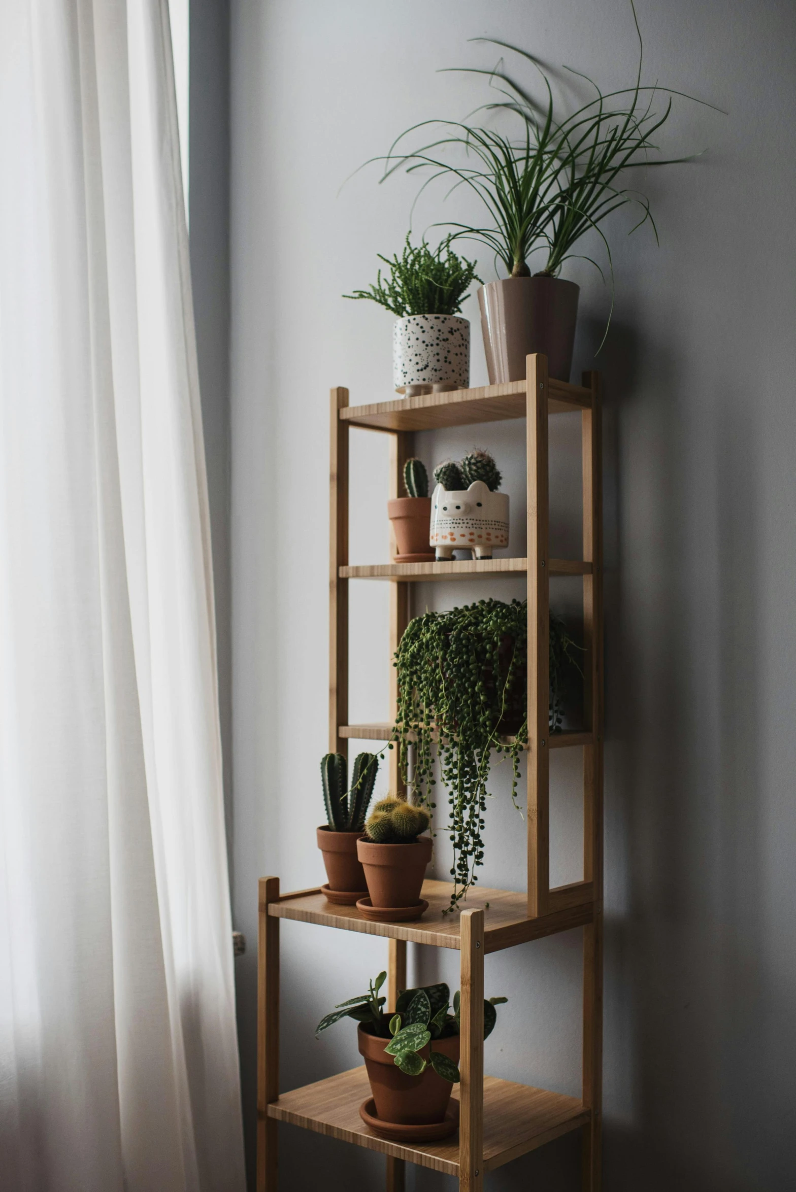 two shelves holding pots, house plants and a window