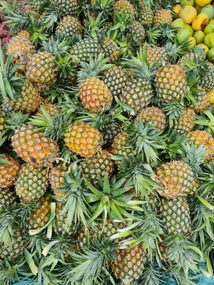 a pile of pineapples next to oranges and bananas