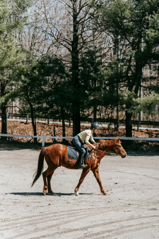 man is riding a horse in an enclosed area