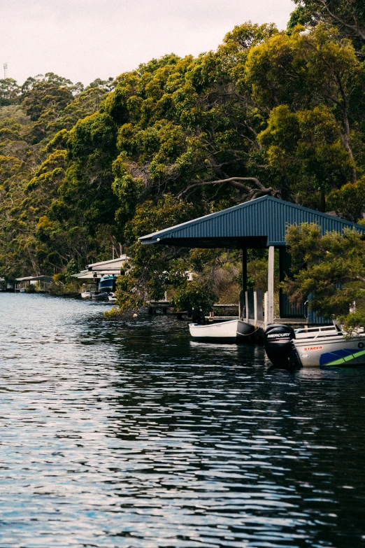 boats parked in the water by the trees