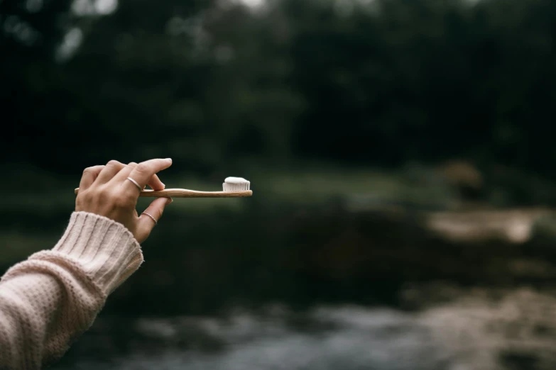 a person holding up a toothbrush near a river