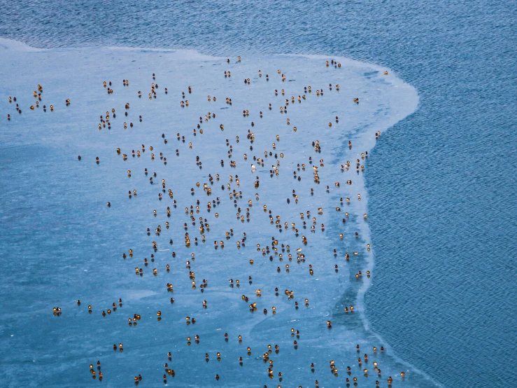 people standing in the water near each other