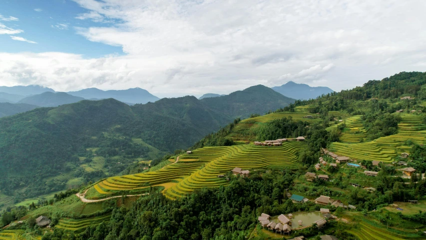 a mountainous green field that is very lush