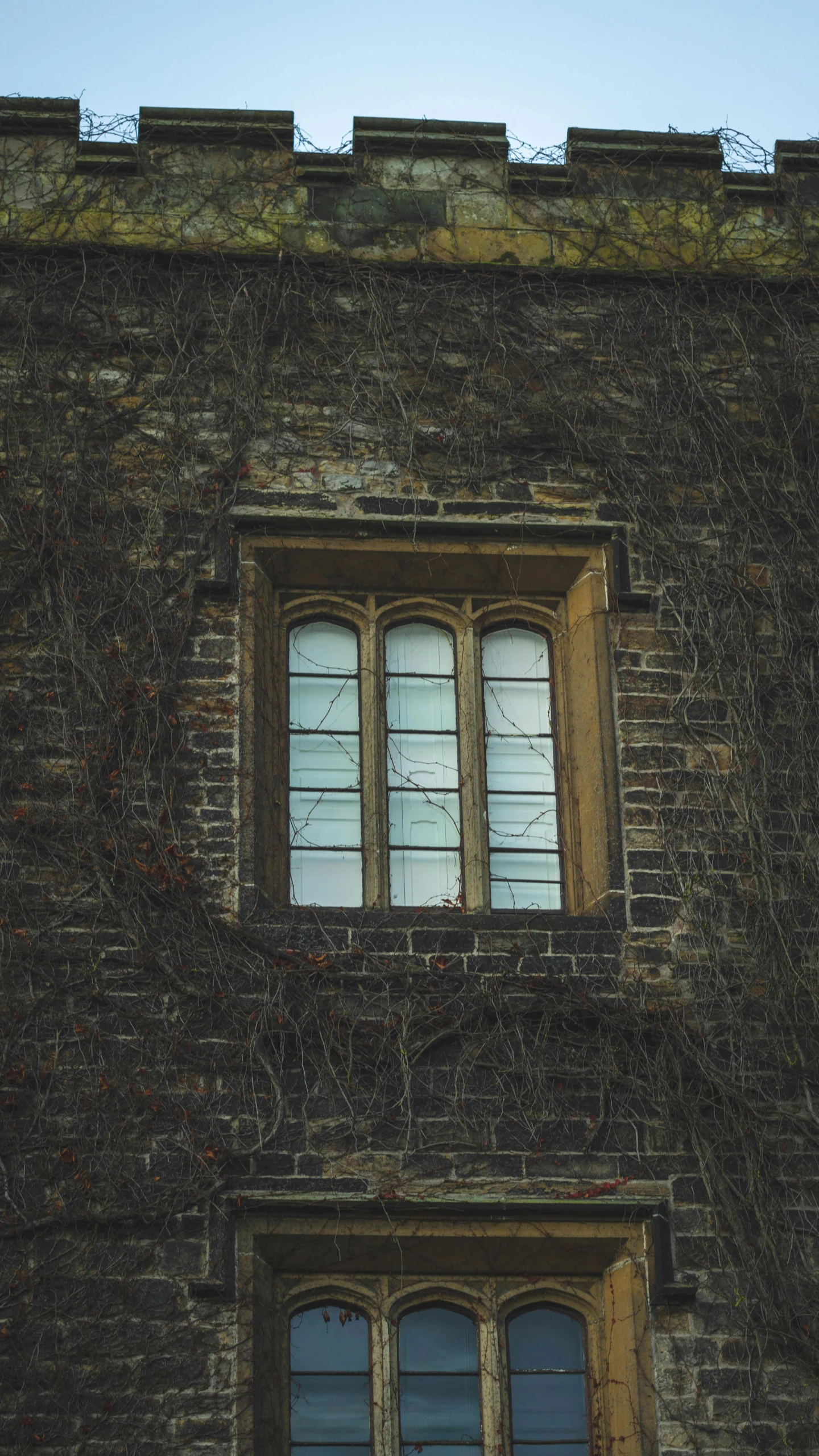 the window has many panes and some ivy growing up the outside wall of a stone building