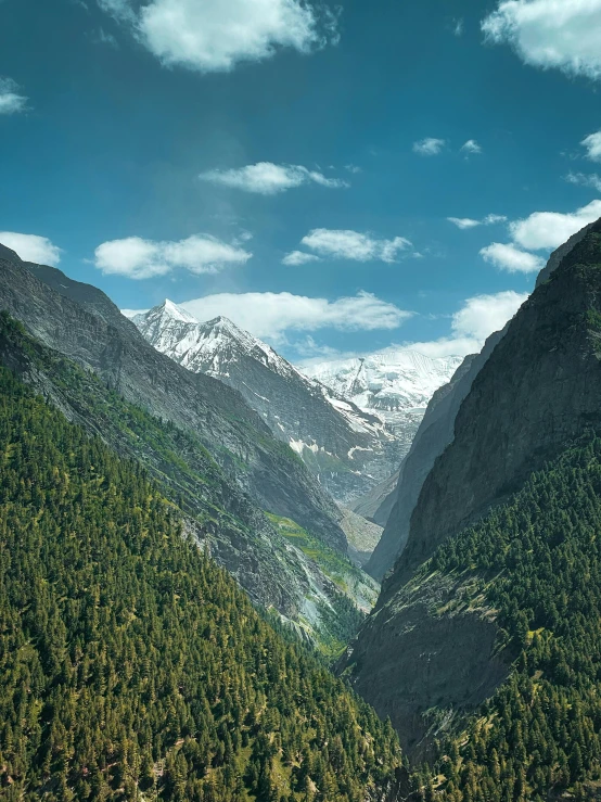 mountains with snow covered top with some trees on them