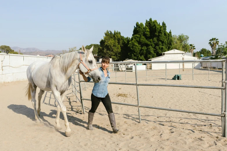 a person and a white horse behind a fence