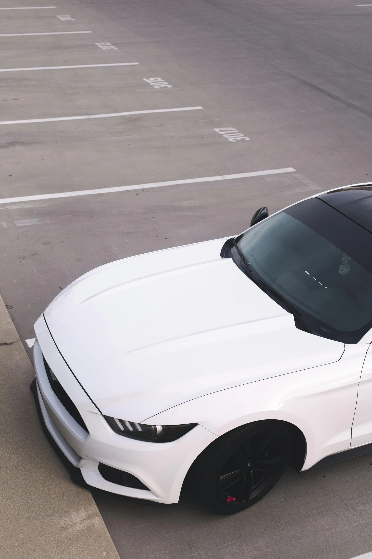 a white mustang in a parking lot with no vehicles