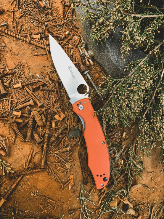 a knife lying on a ground in the middle of nowhere