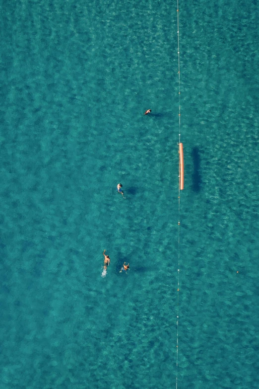 four people with boards are swimming in the water