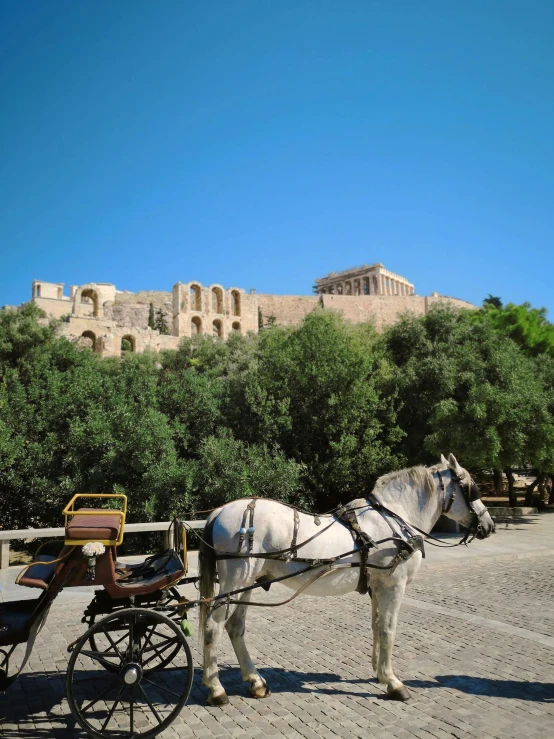 a horse is tied to a wagon by trees