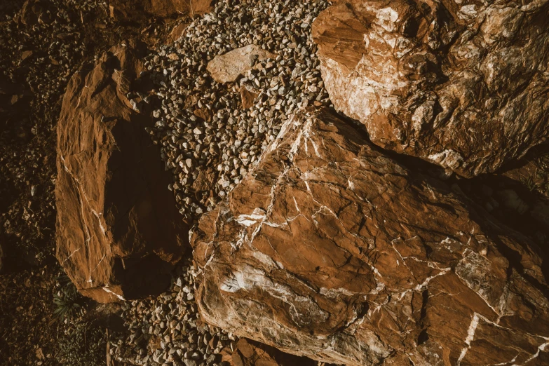 a rock face with a number of birds perched on top