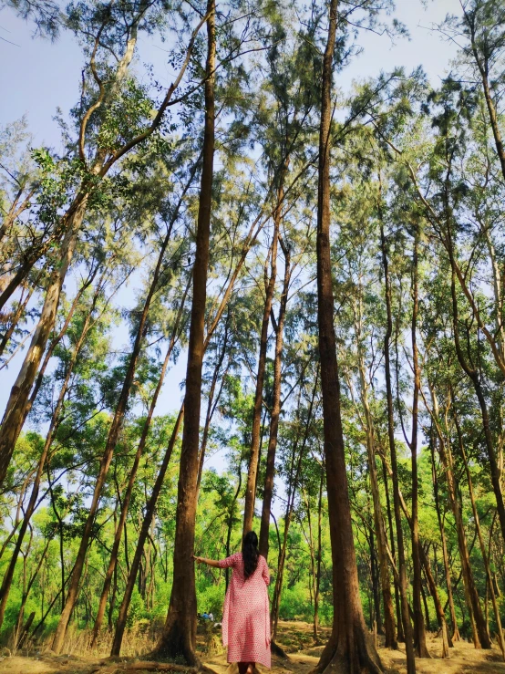 a woman standing between two very tall trees