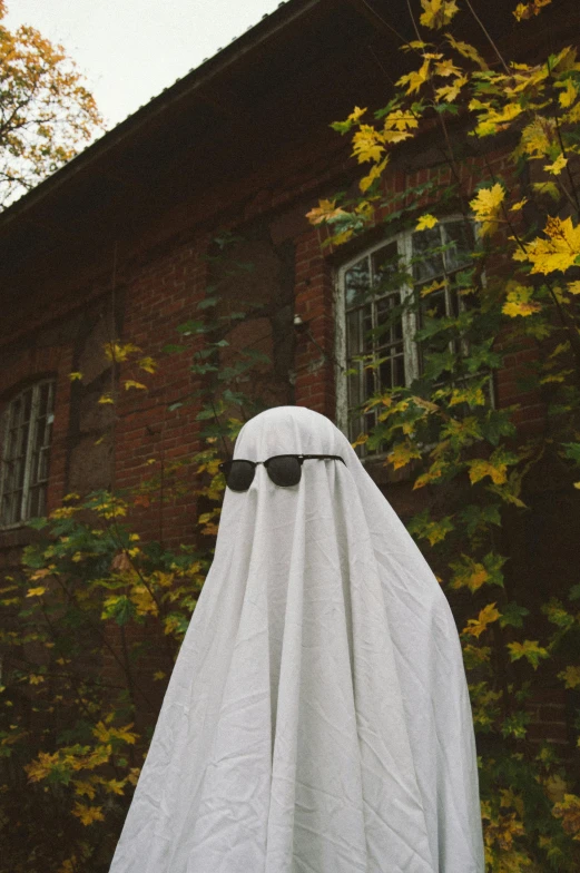 a white cloth covered over with eyes and a black nose