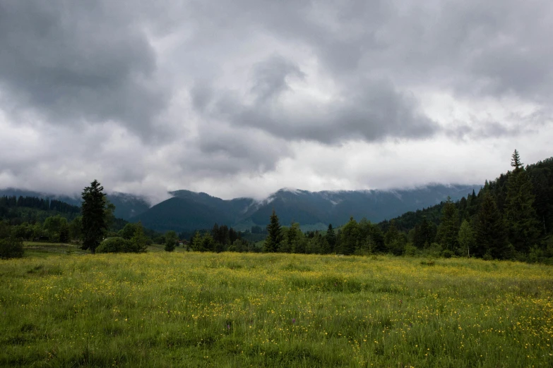 a cloudy sky rises over trees and mountains