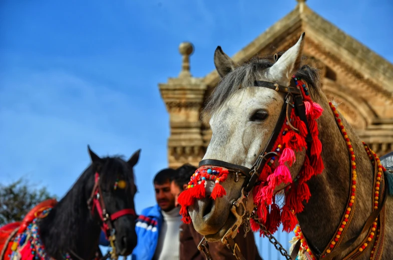 two horses are pulling people in a wagon