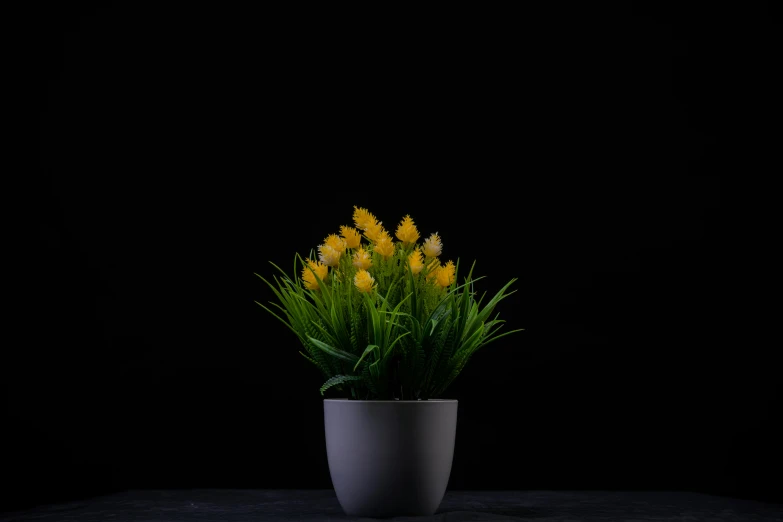 a large pot that has some flowers in it