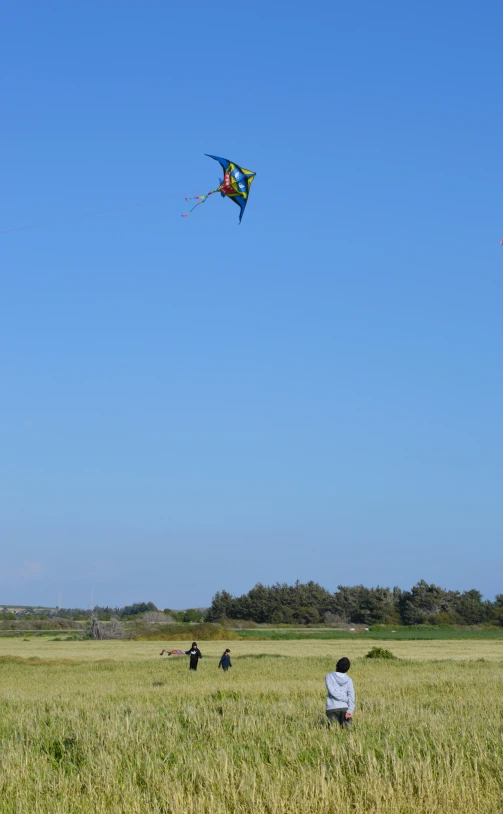 some people out in the field flying a kite