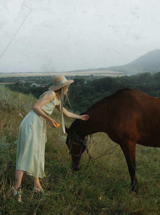 a girl in a white dress is petting a brown horse