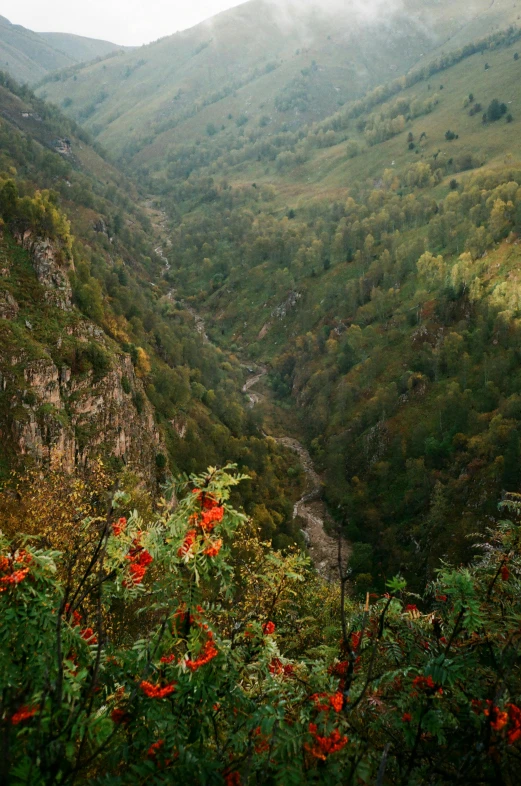 the view from a mountain overlooking a valley