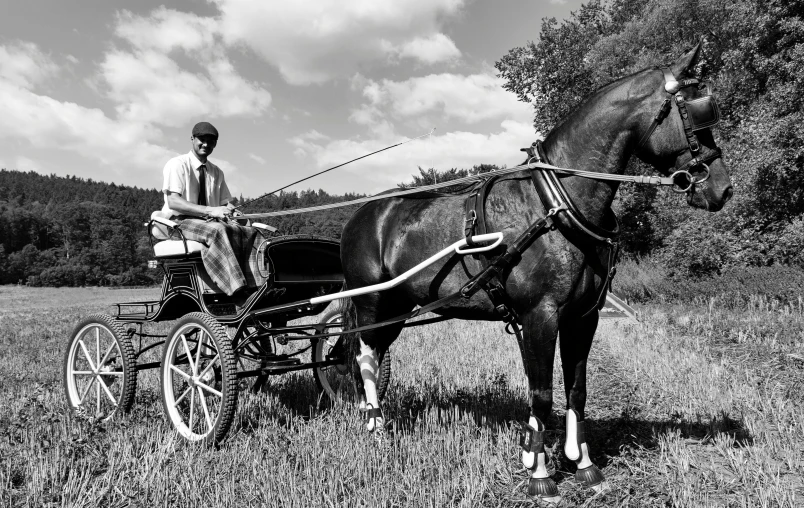 a man riding a carriage next to a horse