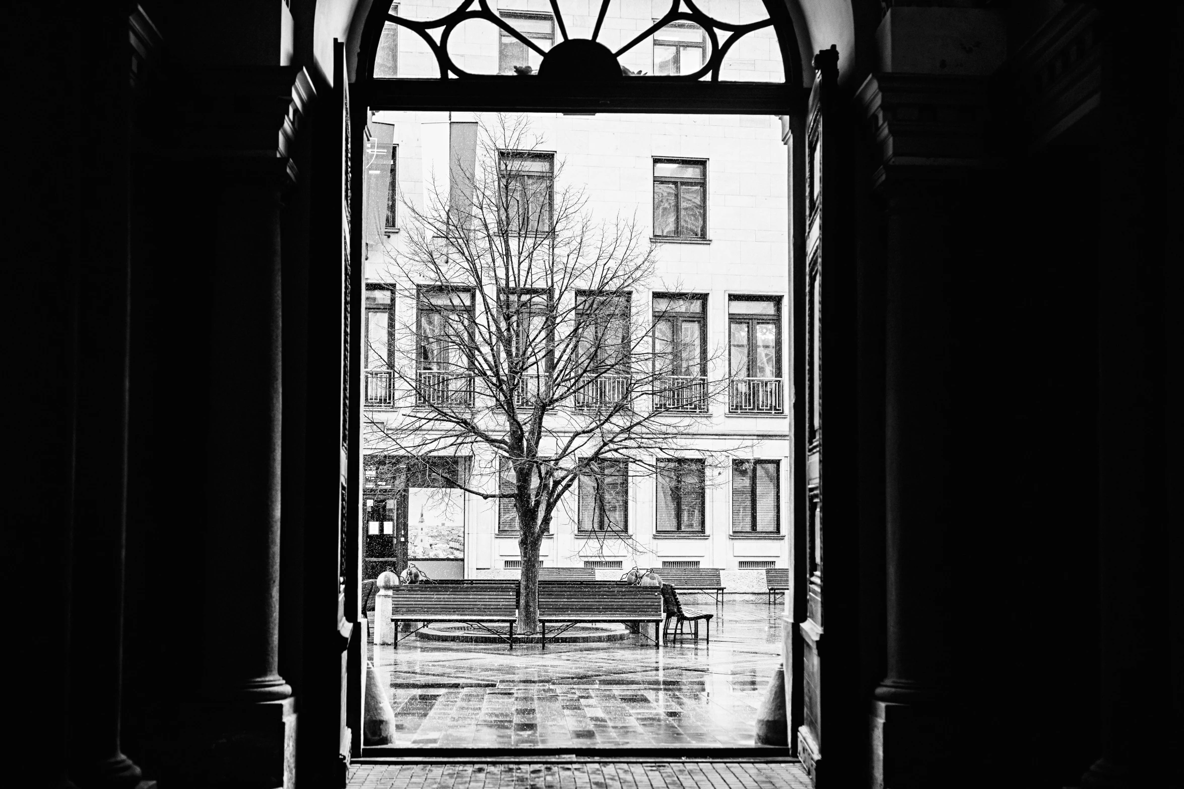 the view from a building through an arched window