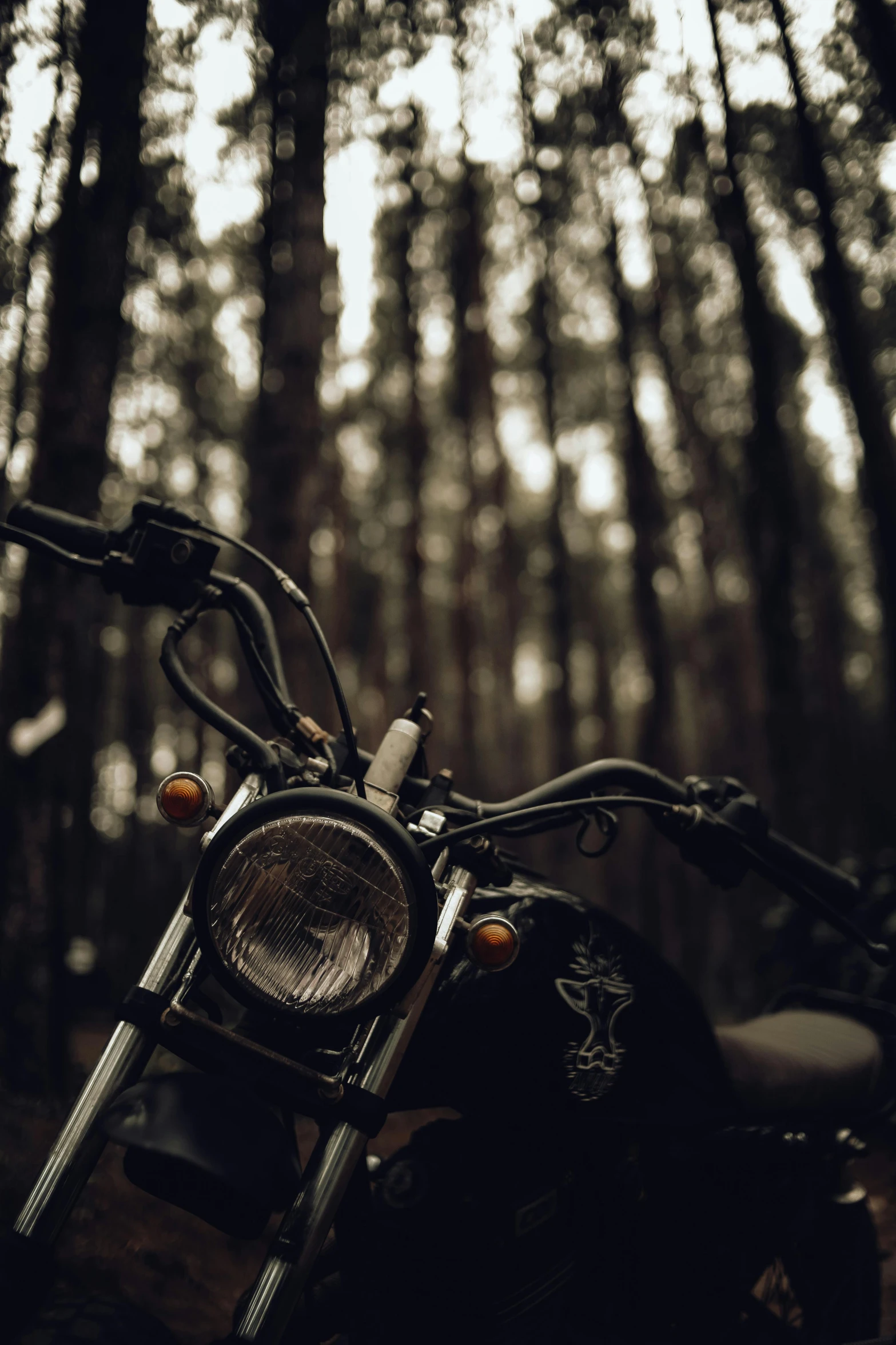 a black and white po of a motor cycle in the forest