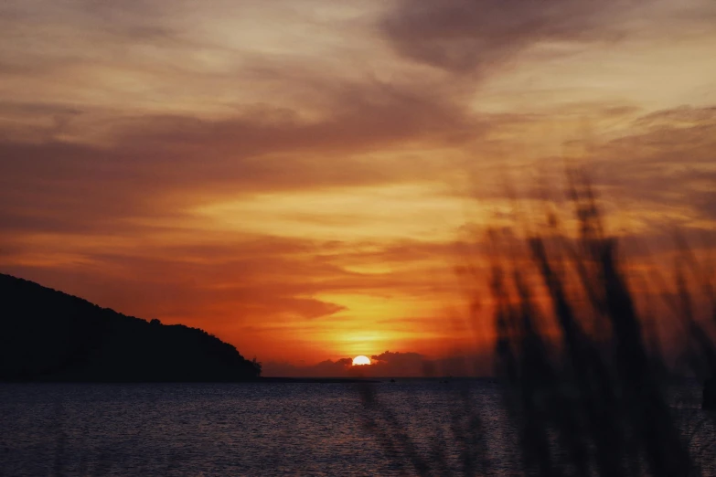 the sun is setting over the ocean next to some grass