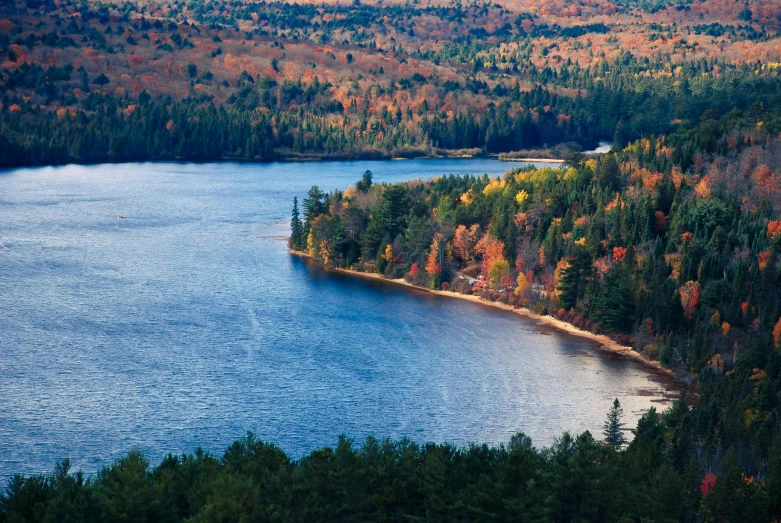 a lake surrounded by forest in the middle of a forest