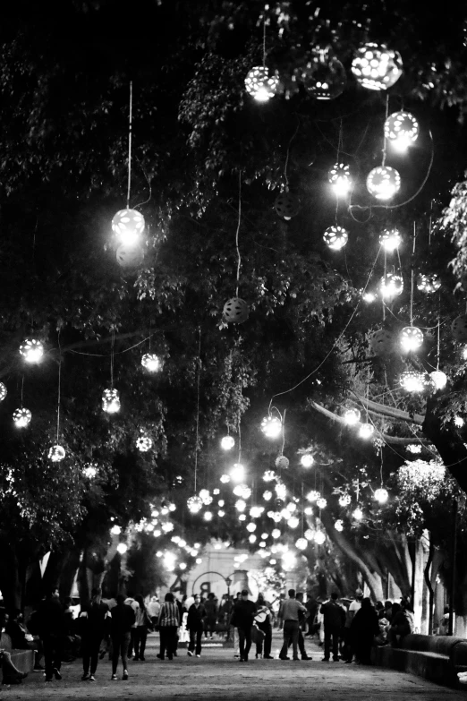 people walking underneath lights and tree covered park