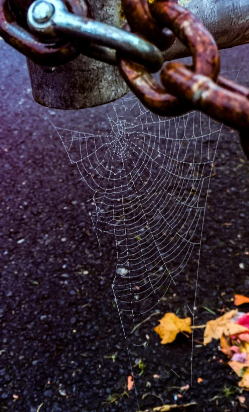 the spider web is hanging on the chains of a chain fence