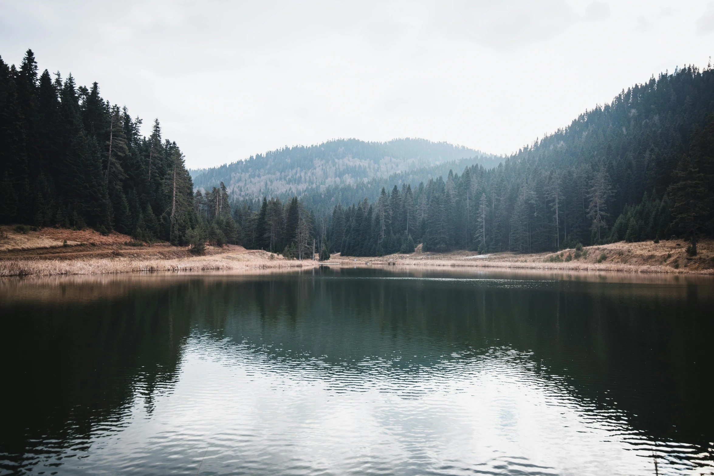 trees are reflected in a mountain lake