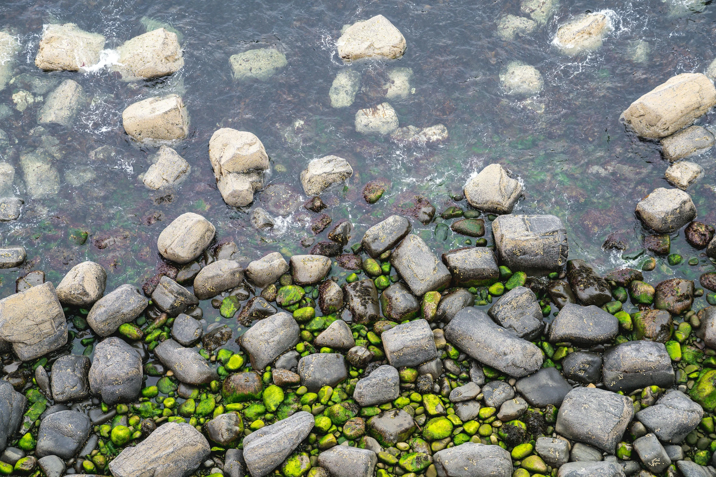 an aerial view of some rocks and green algae