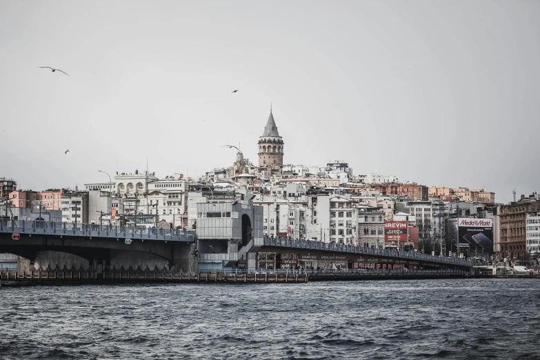 a view of some very pretty city with some birds flying around