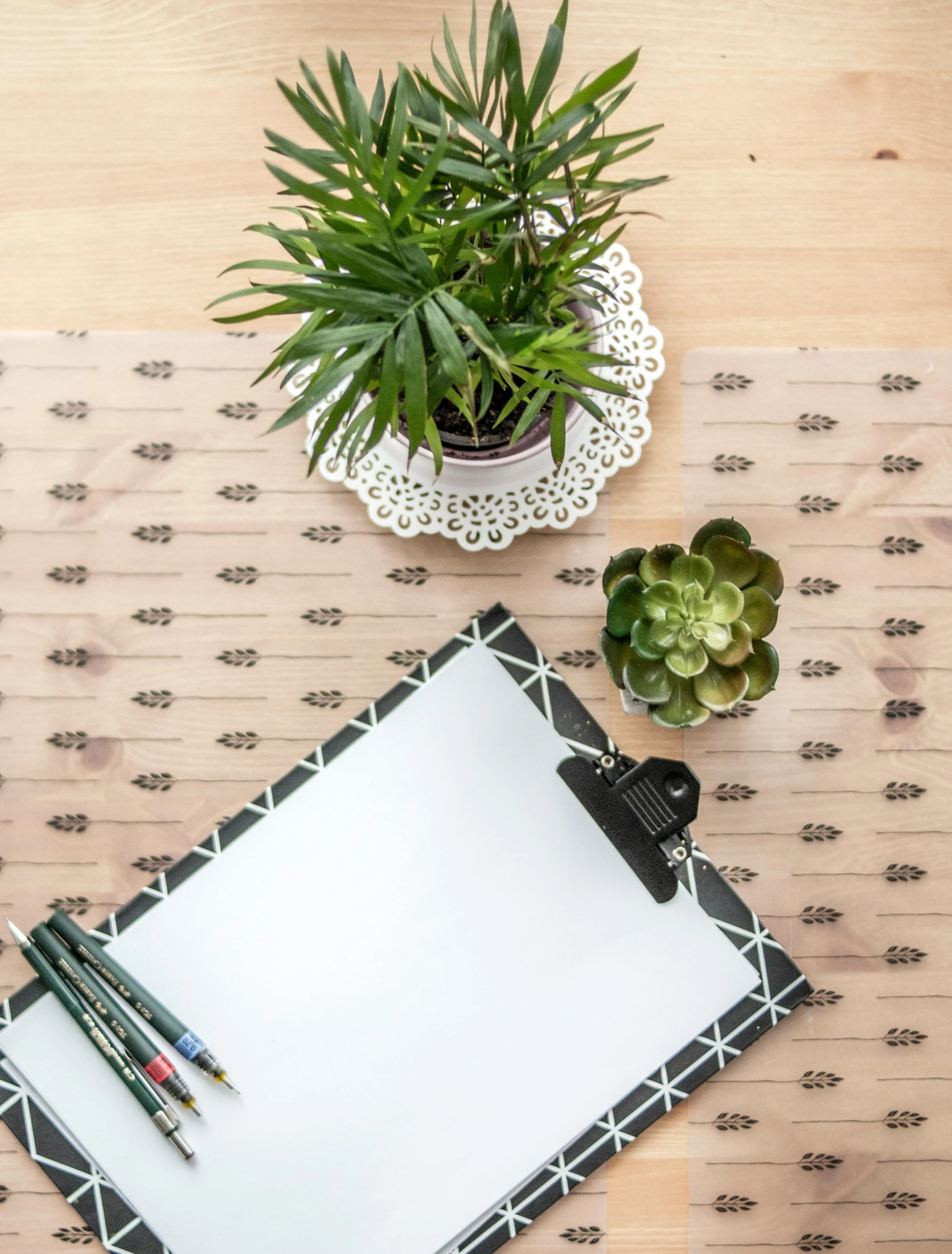 the top view of the table, and there is a small green plant