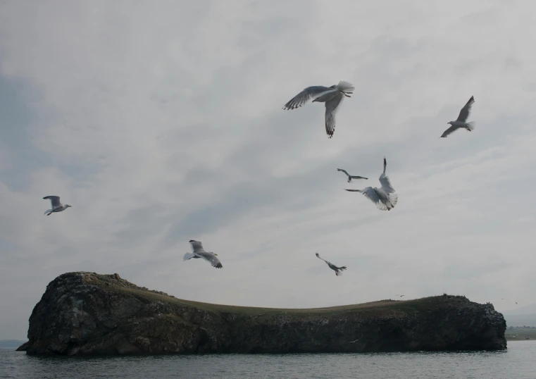 seagulls flying over the ocean with rocky island in front of it