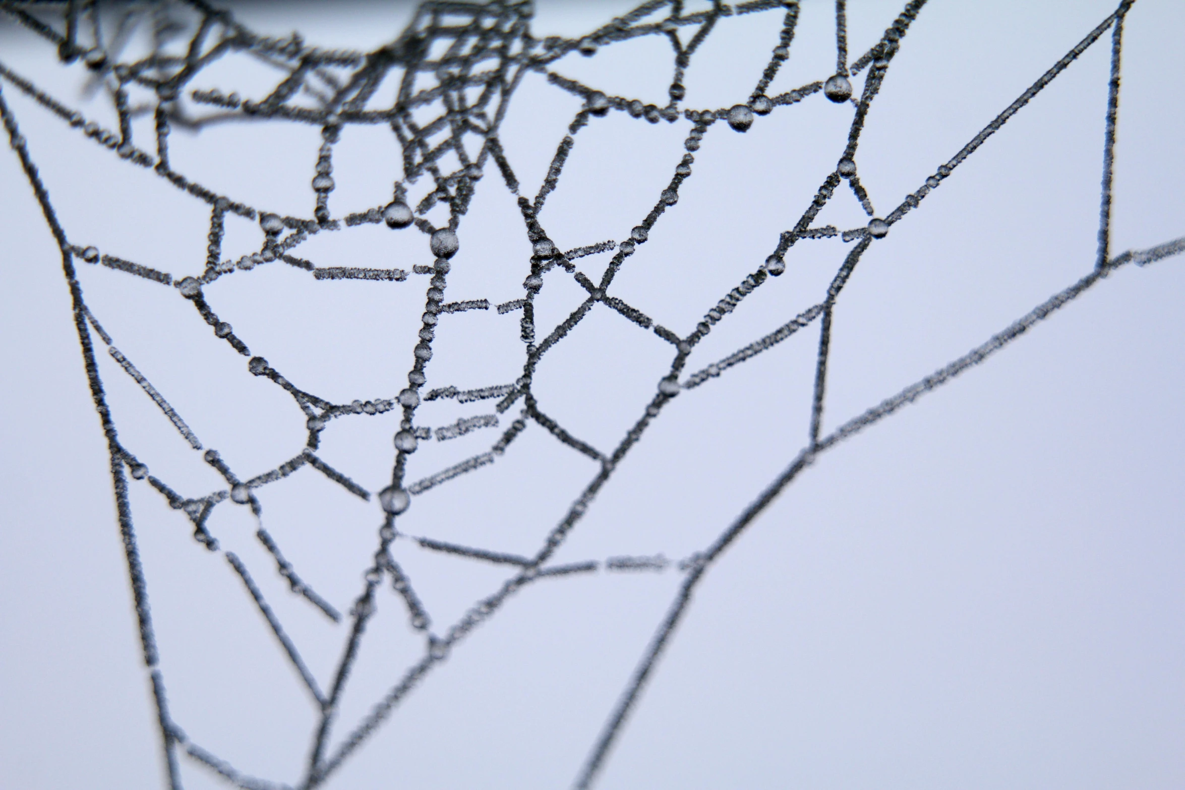 spider web pattern from inside an umbrella with rain drops