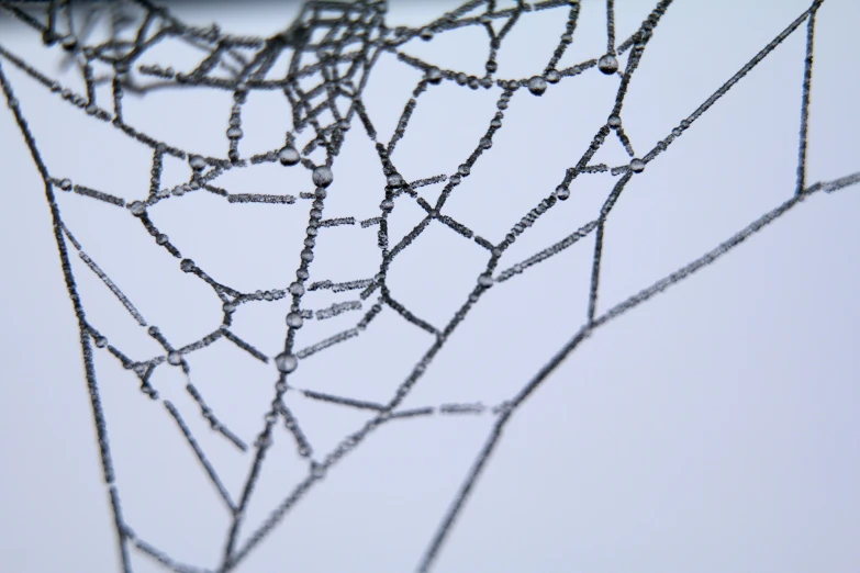 spider web pattern from inside an umbrella with rain drops