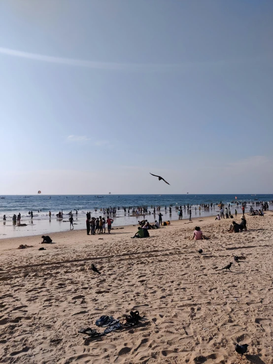 a large crowd of people is on the beach