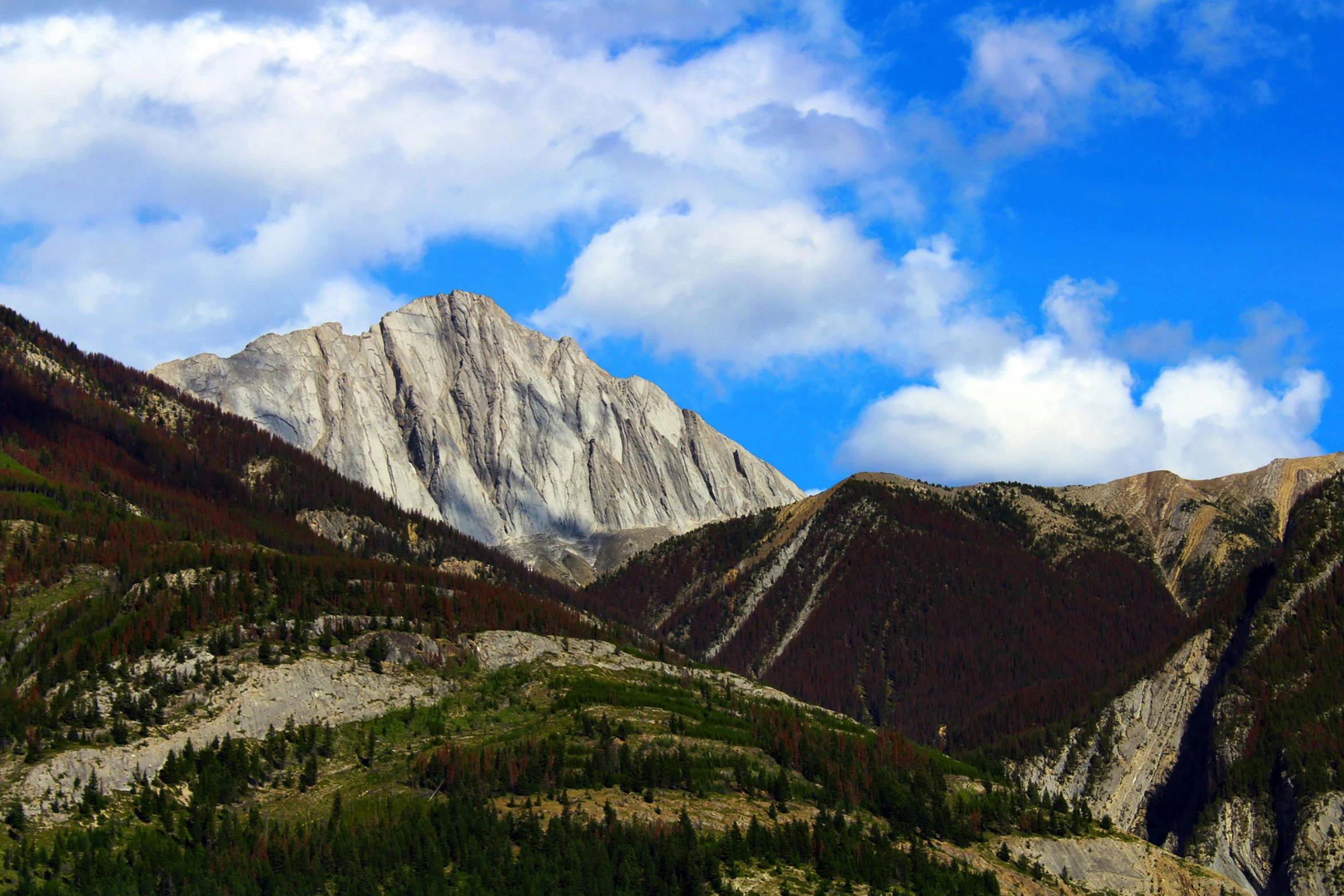 some tall hills with trees in the foreground