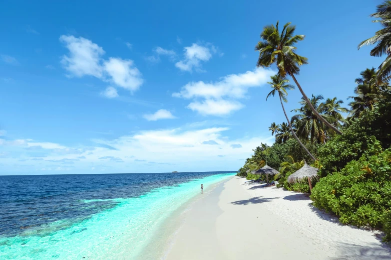 this tropical beach has clear blue waters and a small white sand beach