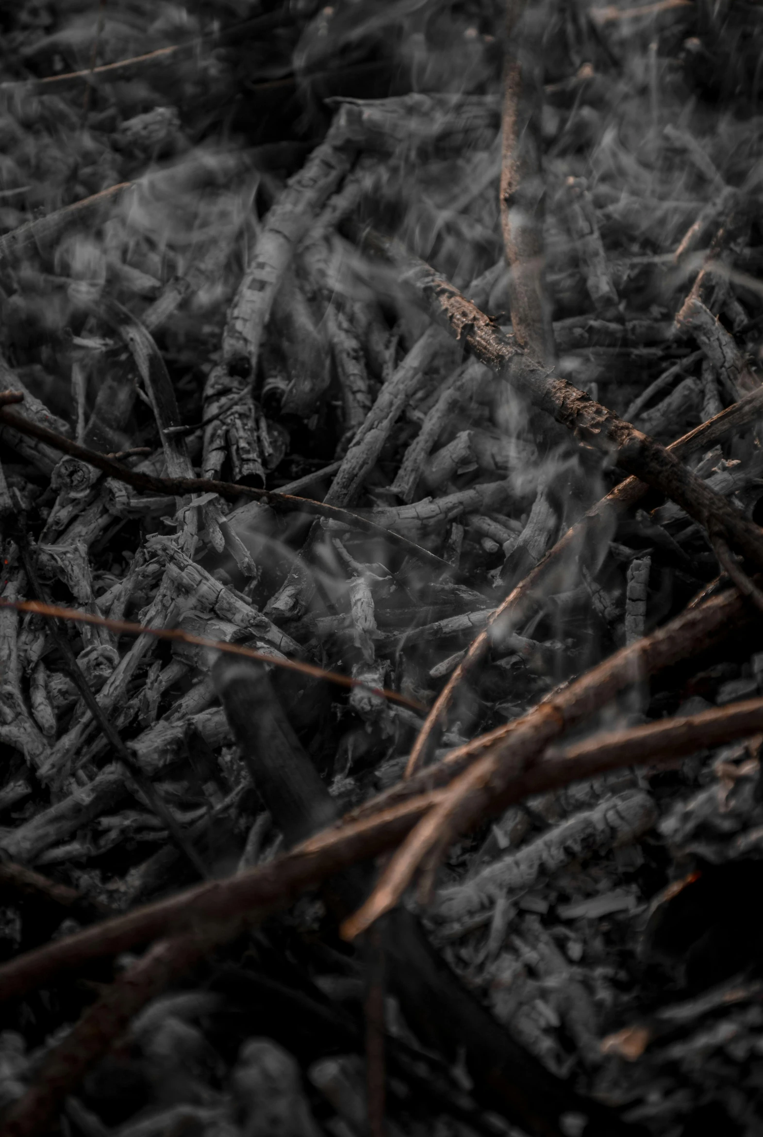 this is a black and white image of dry grass