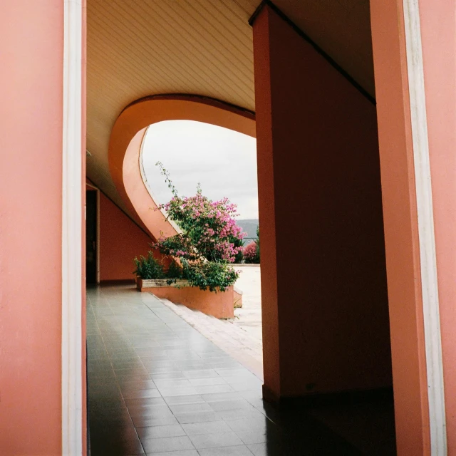 a potted plant is next to a wall