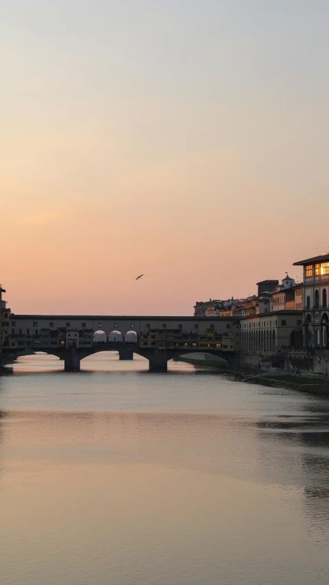 a bridge with buildings on both sides and a bird flying overhead