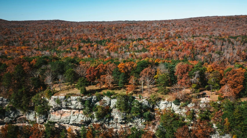 a view of a rocky slope with autumn foliage